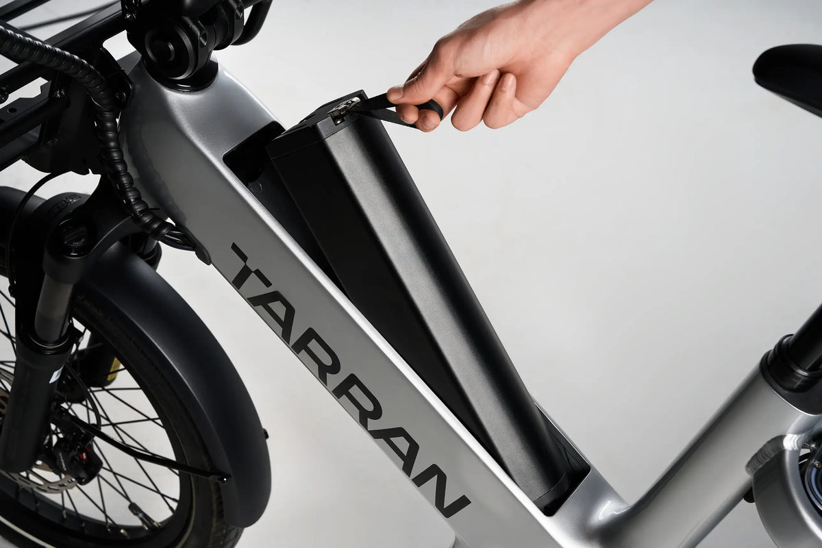 Concealed And Removable Battery